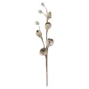 Kerstdecoratie|Kunstplanten En Kunstbloemen>Tak Magnolia 89cm winter lux champagne