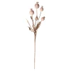 O'malley Kunstplanten En Kunstbloemen>Tak papaver 105 cm