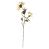 O'malley Kunstplanten En Kunstbloemen>Tak Yulan 103 cm beige