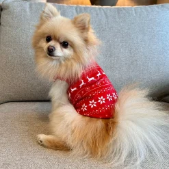 Friendly Pet Hondenjas>Trui hond kerst Nordic rood 20cm