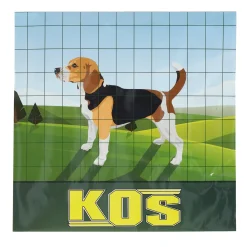 Kos Afrastering>Tuingaas 100x75 H60 25M groen