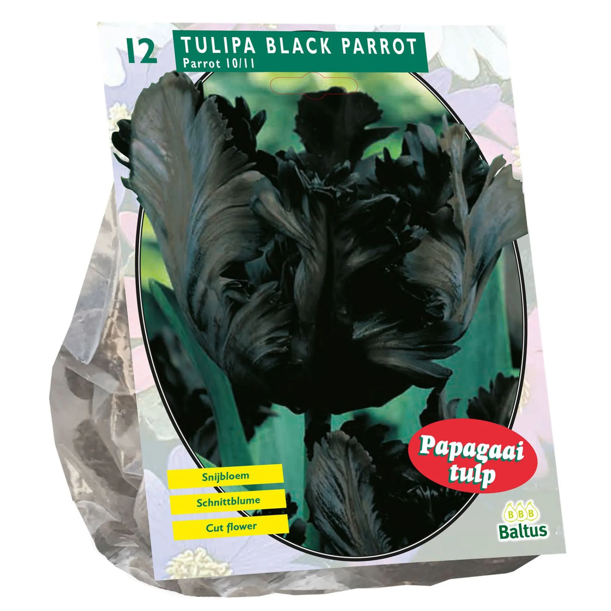 Baltus Bodemverbeteraars>Tulipa Black Parrot Parkiet per 12