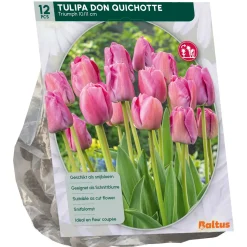 Baltus Bodemverbeteraars>Tulipa Don Quichotte Triumph per 12