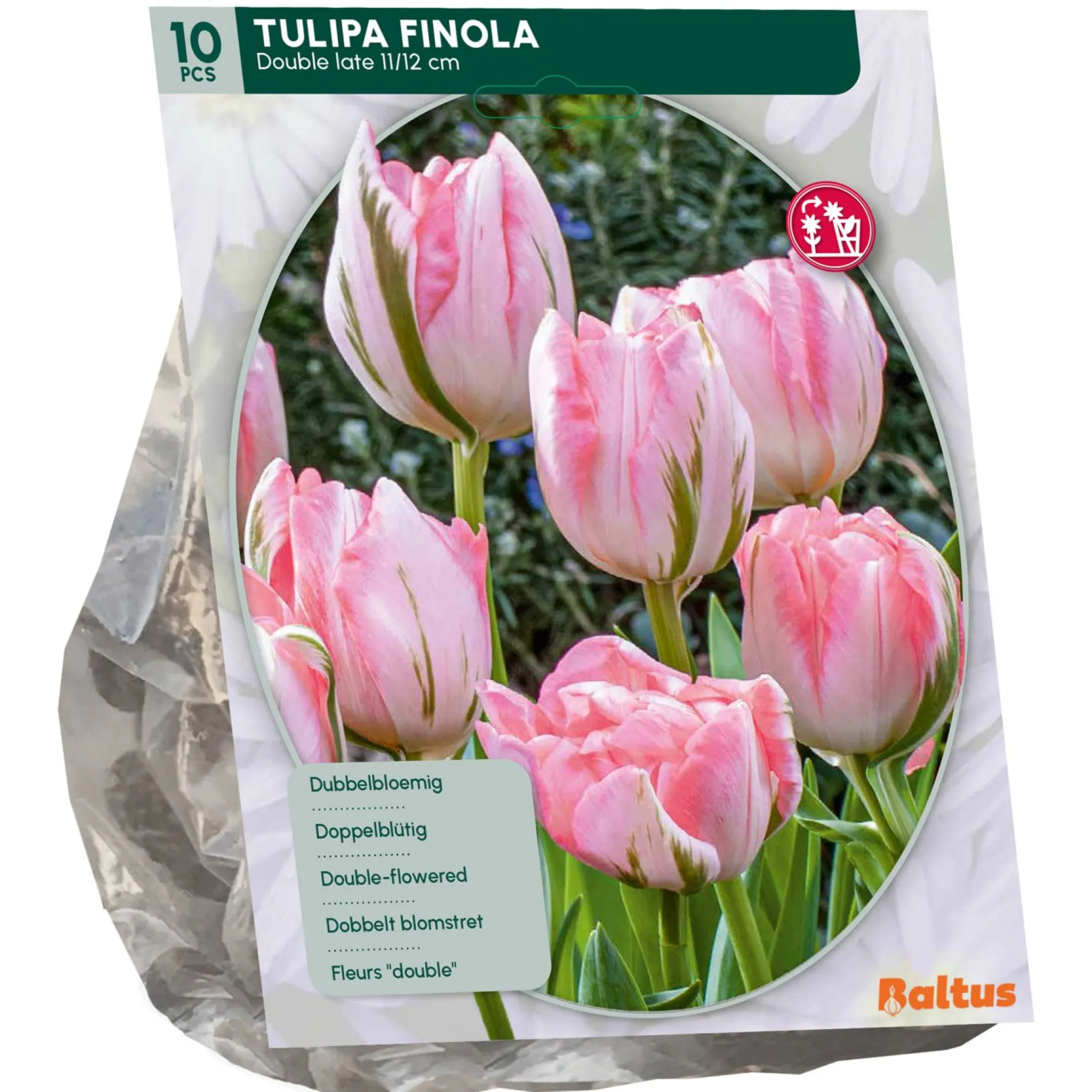 Baltus Bodemverbeteraars>Tulipa Dubbel Laat Finola per 10