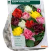 Baltus Bodemverbeteraars>Tulipa Dubbel Mix per 15