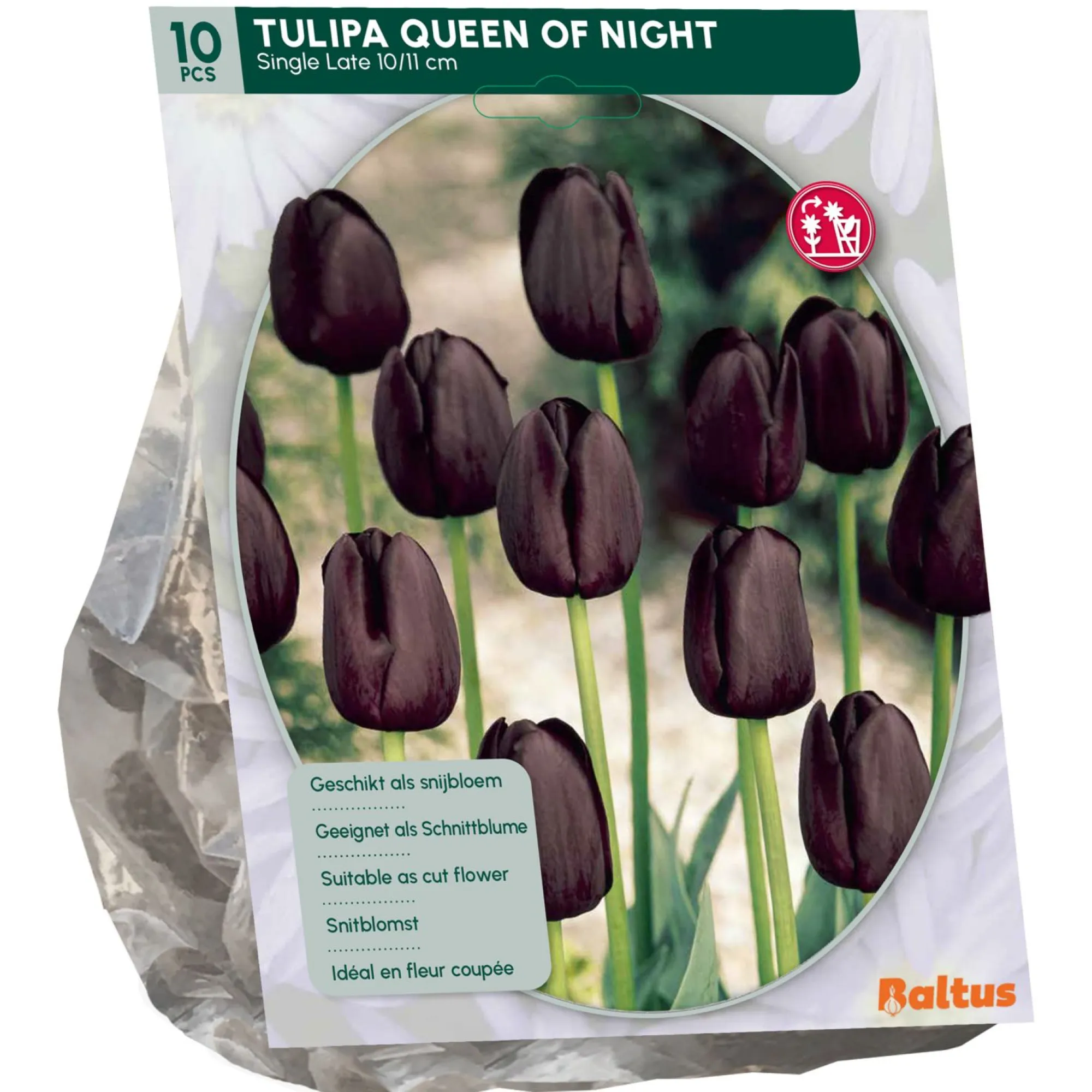 Baltus Bodemverbeteraars>Tulipa Queen of Night Enkel Laat per 10