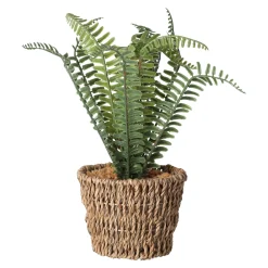 Kunstplanten En Kunstbloemen>Varen in mand groen 26 x 10 cm