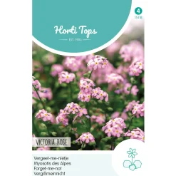 Horti Tops Moestuin>Vergeet-me-nietje Victoria rose