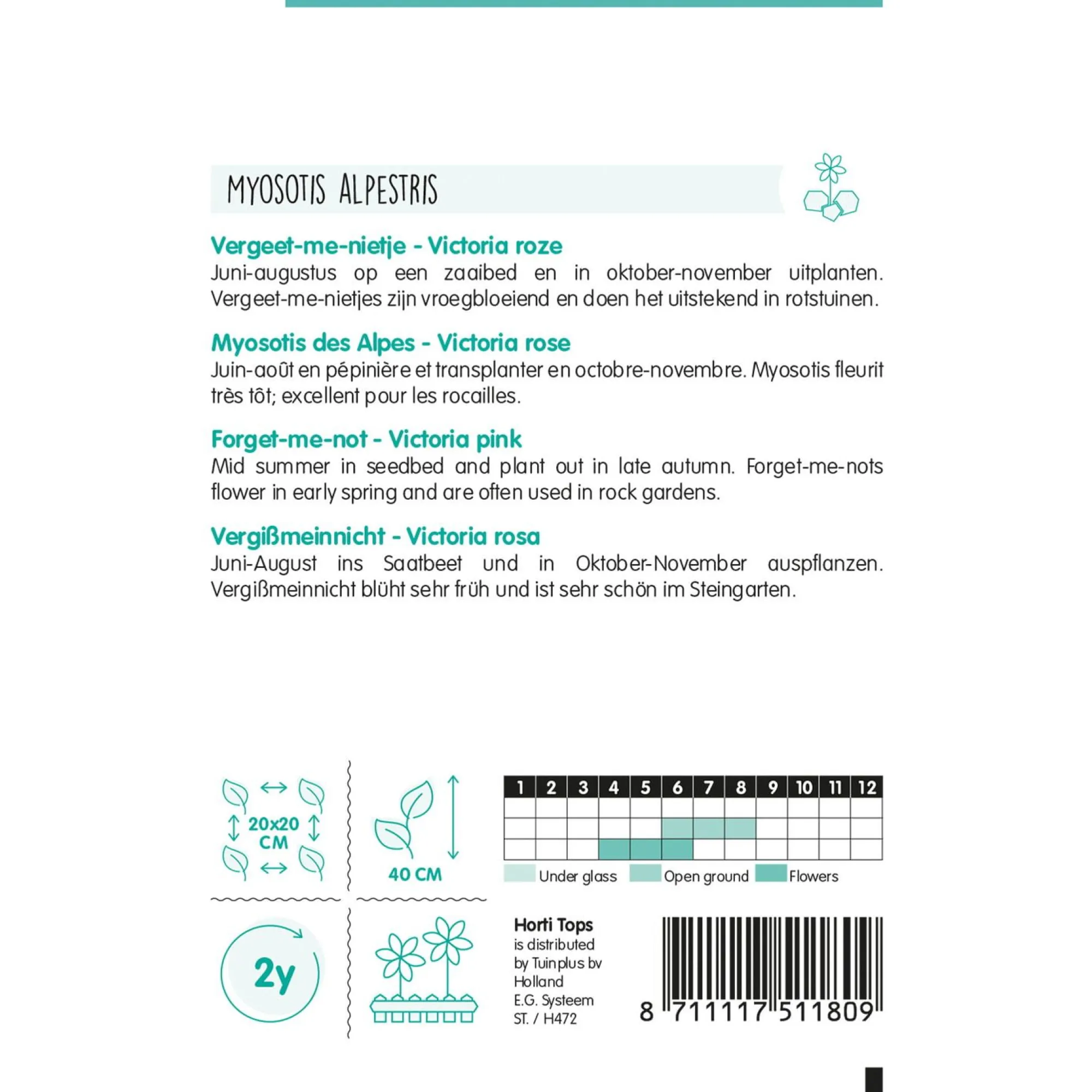 Horti Tops Moestuin>Vergeet-me-nietje Victoria rose