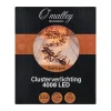 O'malley Kerstverlichting>Verlichting cluster 4008 LED classic gold