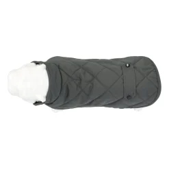 Friendly Pet Hondenjas><noscript><img width=