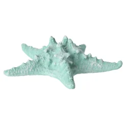 Natural Collections Woondecoratie>Zeester 19 cm blauw, 2 assorti