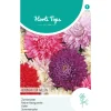 Horti Tops Moestuin>Zomeraster Koningin der Hallen Mix