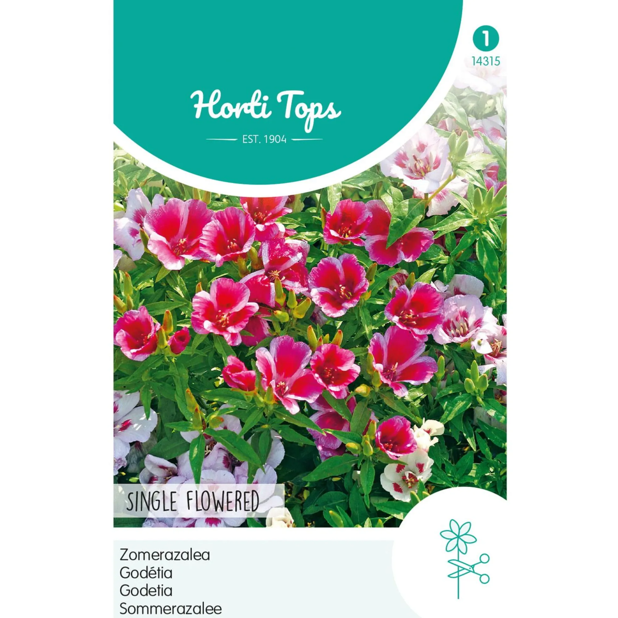Horti Tops Moestuin>Zomerazalea Enkelbloemig Mix