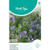 Horti Tops Moestuin>Zomerbloemen blauwe tinten