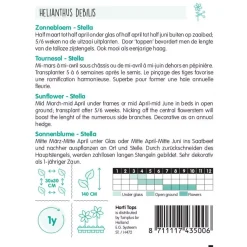 Horti Tops Moestuin>Zonnebloem Stella